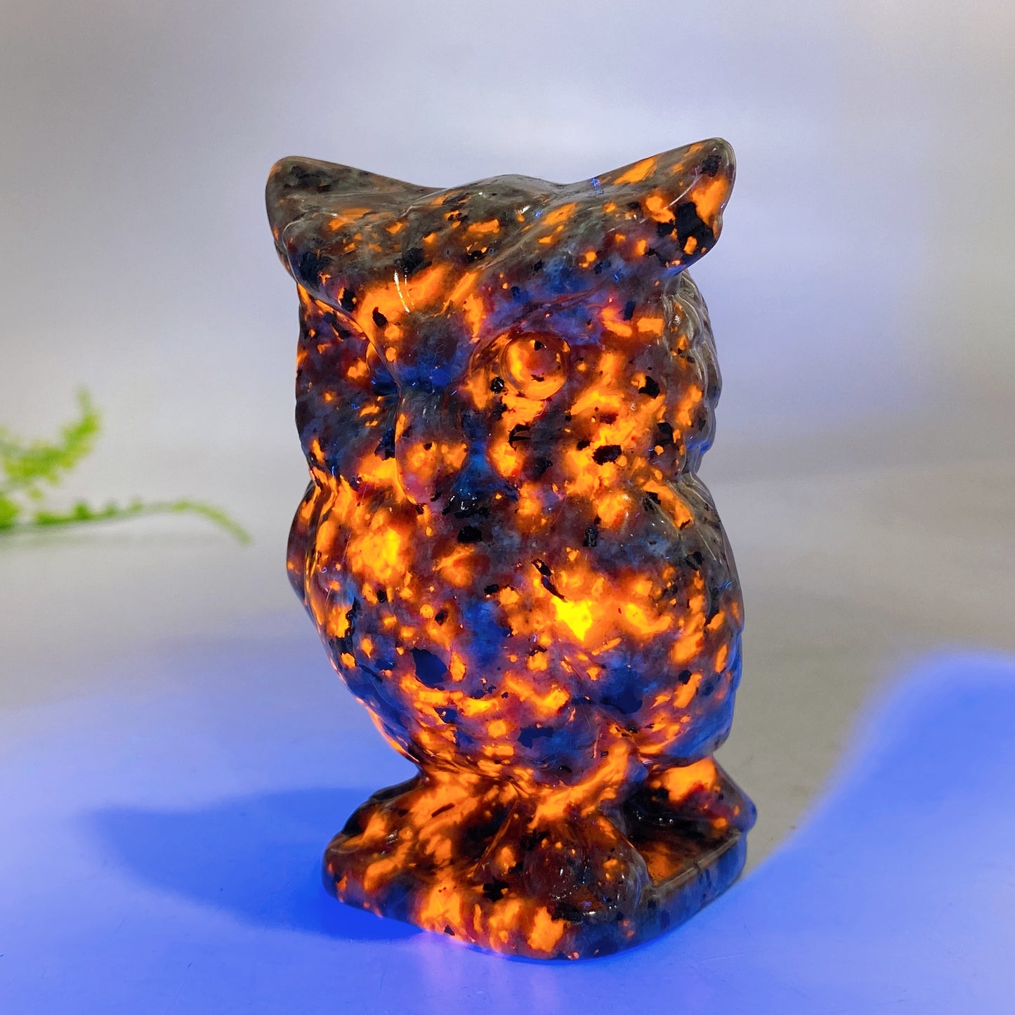 3.1" Natural Black Obsidian Yooperlite Owl Carving Crystal Healing Bulk Wholesale