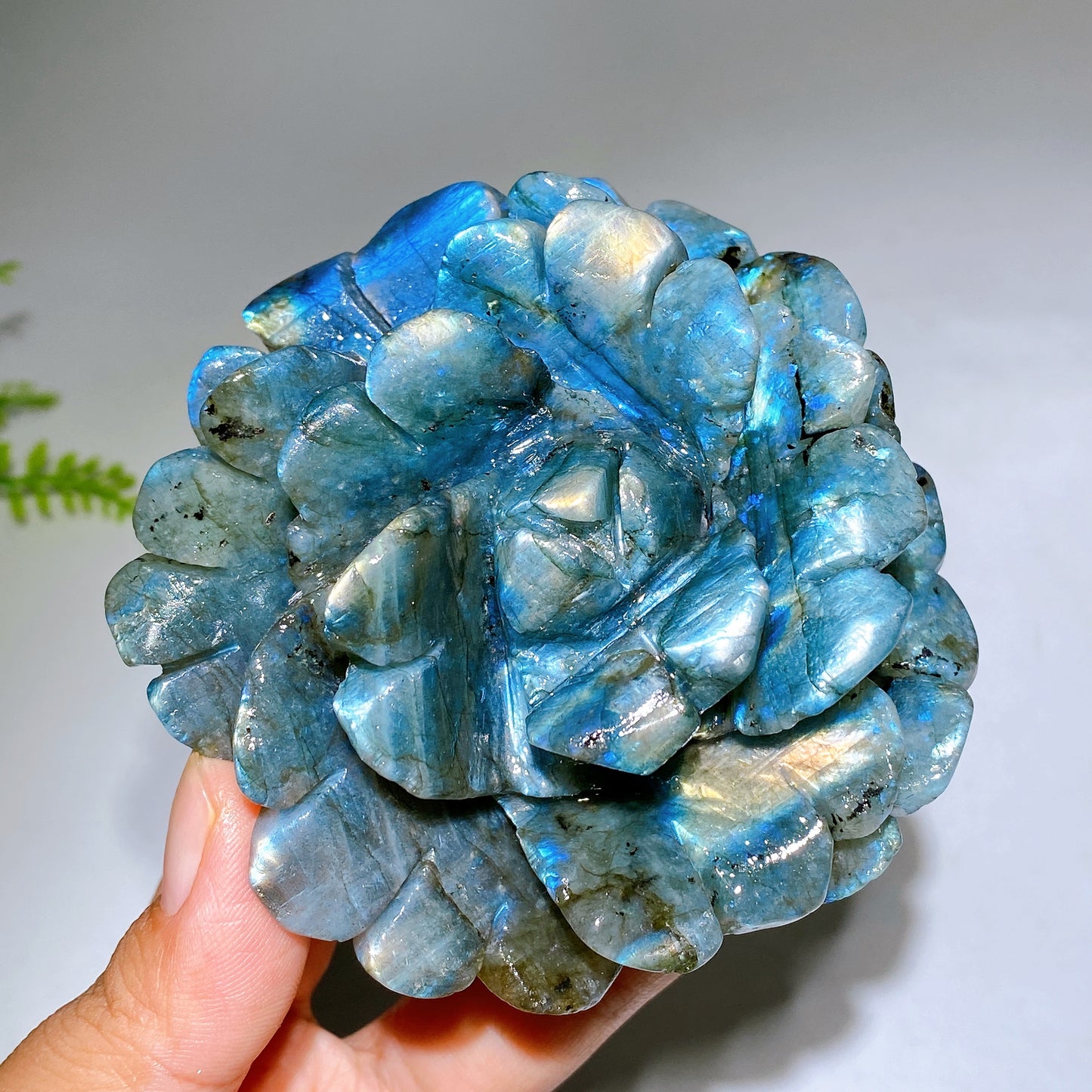 Hand Carved Unique Natural Labradorite Flowewr Carving with Flash Crystal Healing Bulk Wholesale