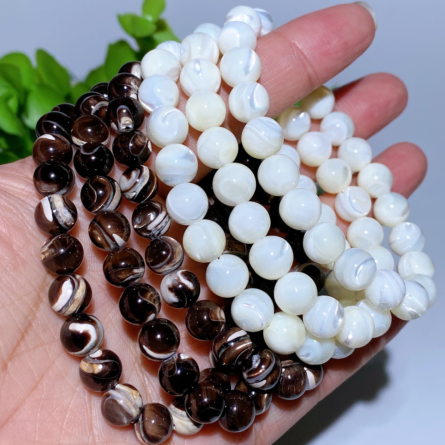 8mm Shell Stone Bracelet Crystal Healing Bulk Wholesale