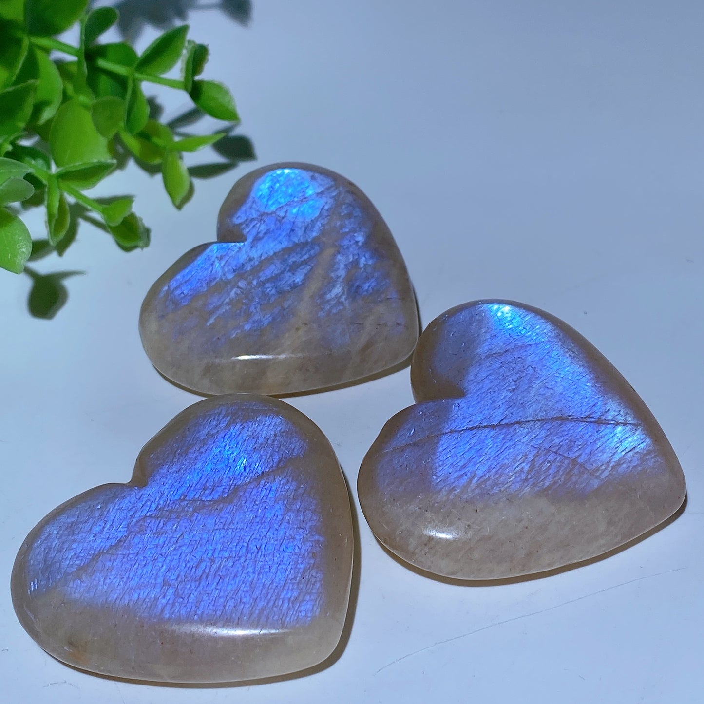 2.0"-2.2" Blue Flash Moonstone Heart Palm Bulk Wholesale