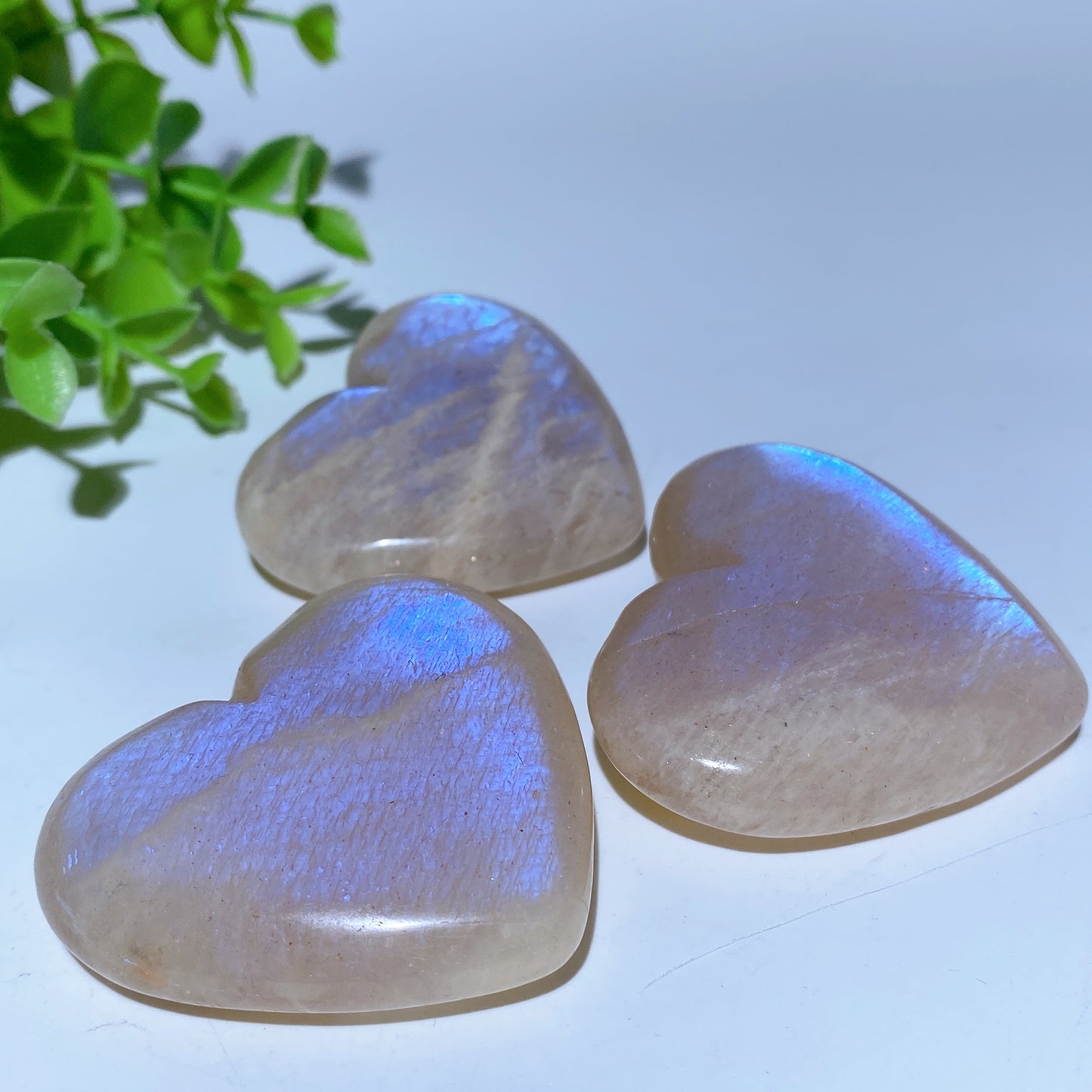 2.0"-2.2" Blue Flash Moonstone Heart Palm Crystal Healing Bulk Wholesale