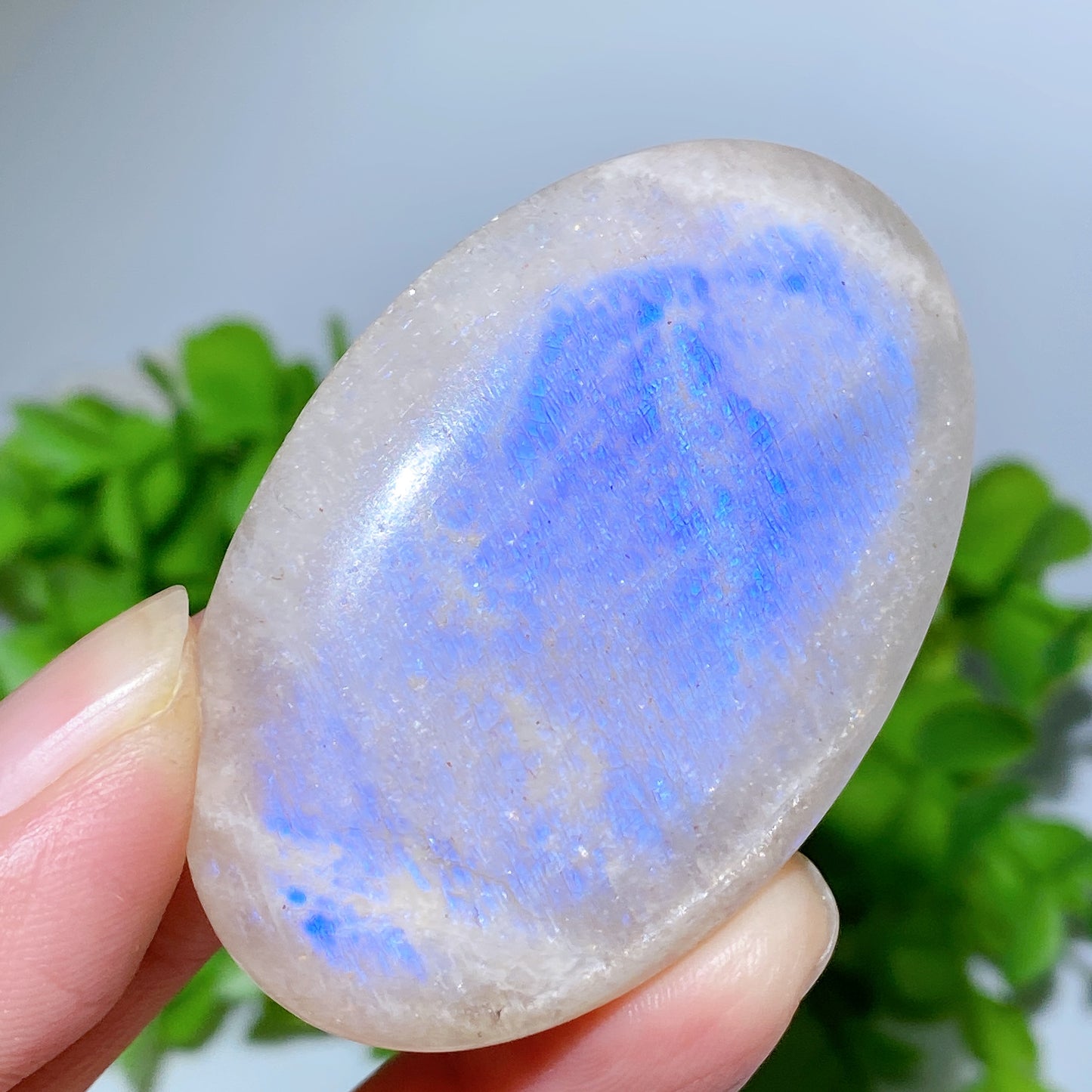 2.0"-2.2" Blue Flash Moonstone Heart Palm Bulk Wholesale