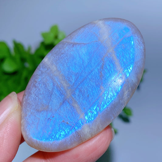 2.0"-2.2" Blue Flash Moonstone Heart Palm Crystal Healing Bulk Wholesale