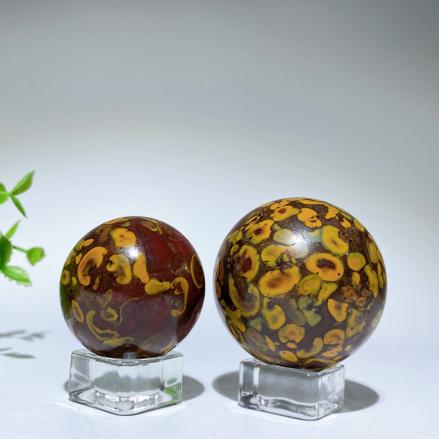 1.5"-2.0" Fruit Jasper Sphere Bulk Wholesale