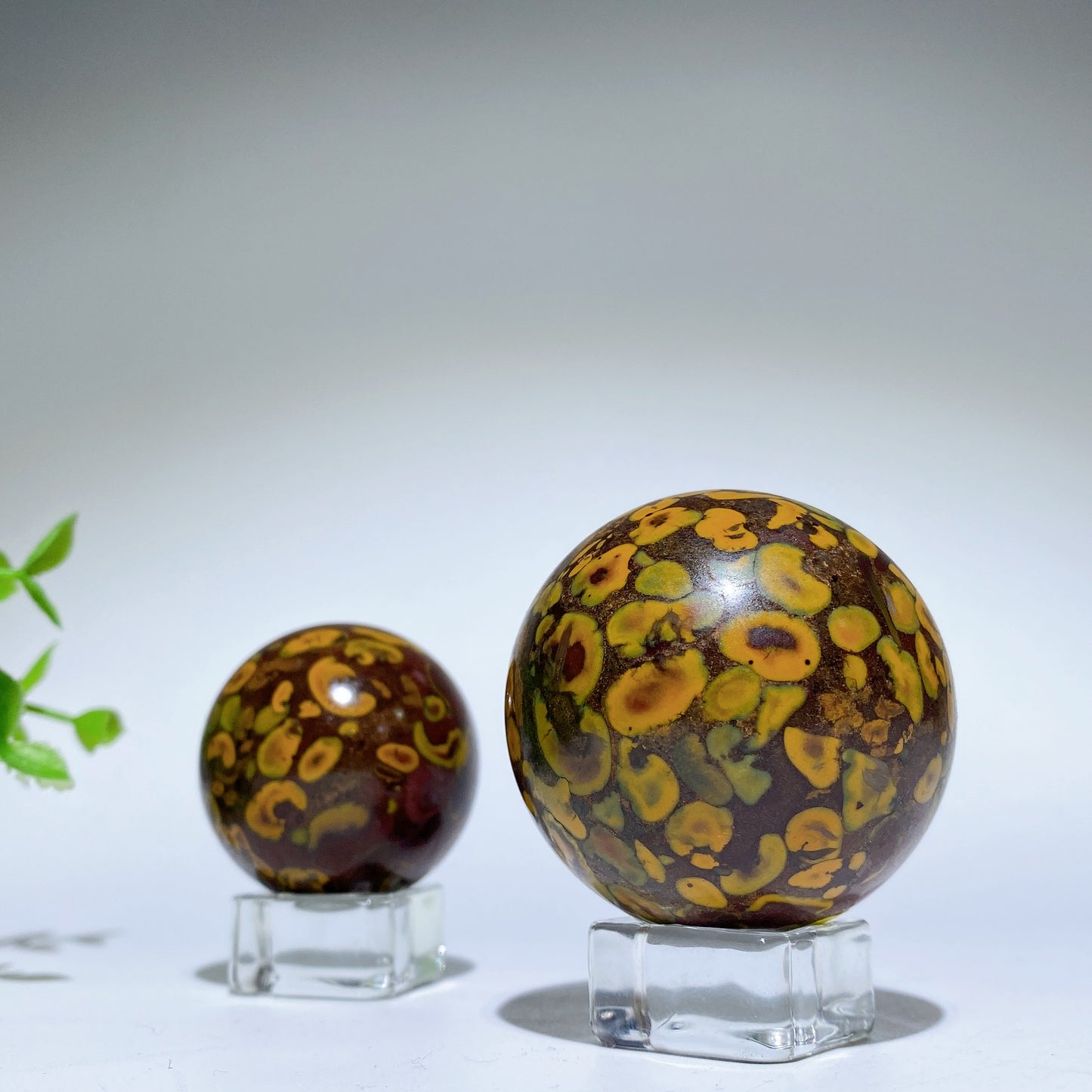 1.5"-2.0" Fruit Jasper Sphere Bulk Wholesale