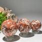 1.5"-2.5" Money Agate Sphere Bulk Wholesale