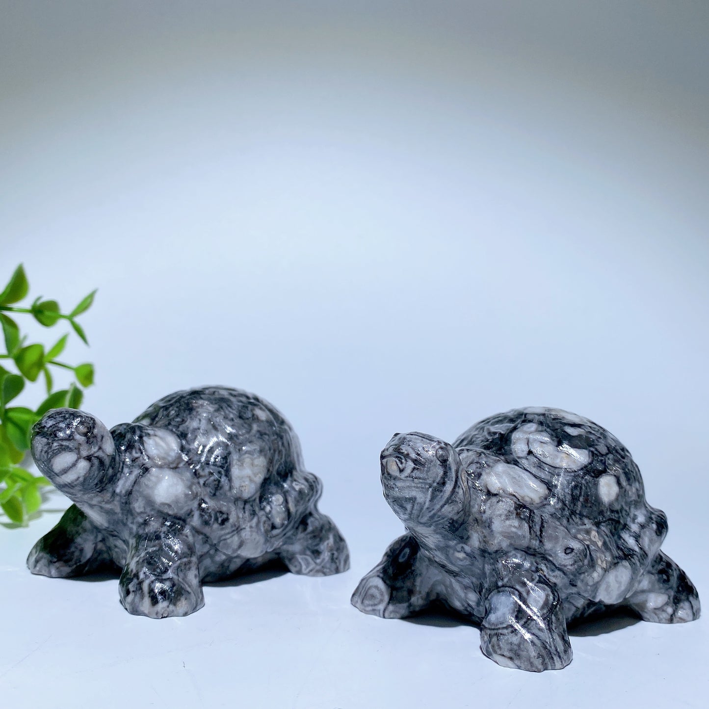3.0" Fossil Stone Turtle Carvings Crystal Healing Bulk Wholesale