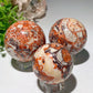 1.5"-2.5" Money Agate Sphere Bulk Wholesale