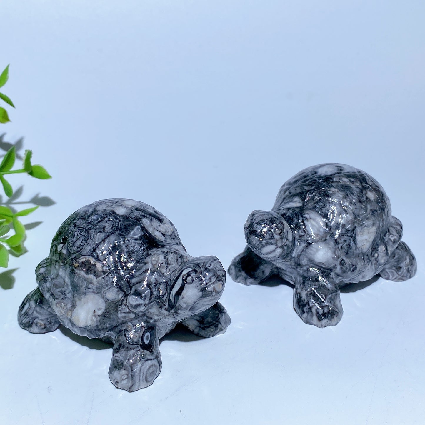 3.0" Fossil Stone Turtle Carvings Crystal Healing Bulk Wholesale
