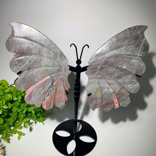6.0" Labradorite Butterfly Wings with Stand Bulk Wholesale
