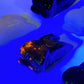 1.3" Mixed Crystal Tooth Carvings Crystal Healing Bulk Wholesale