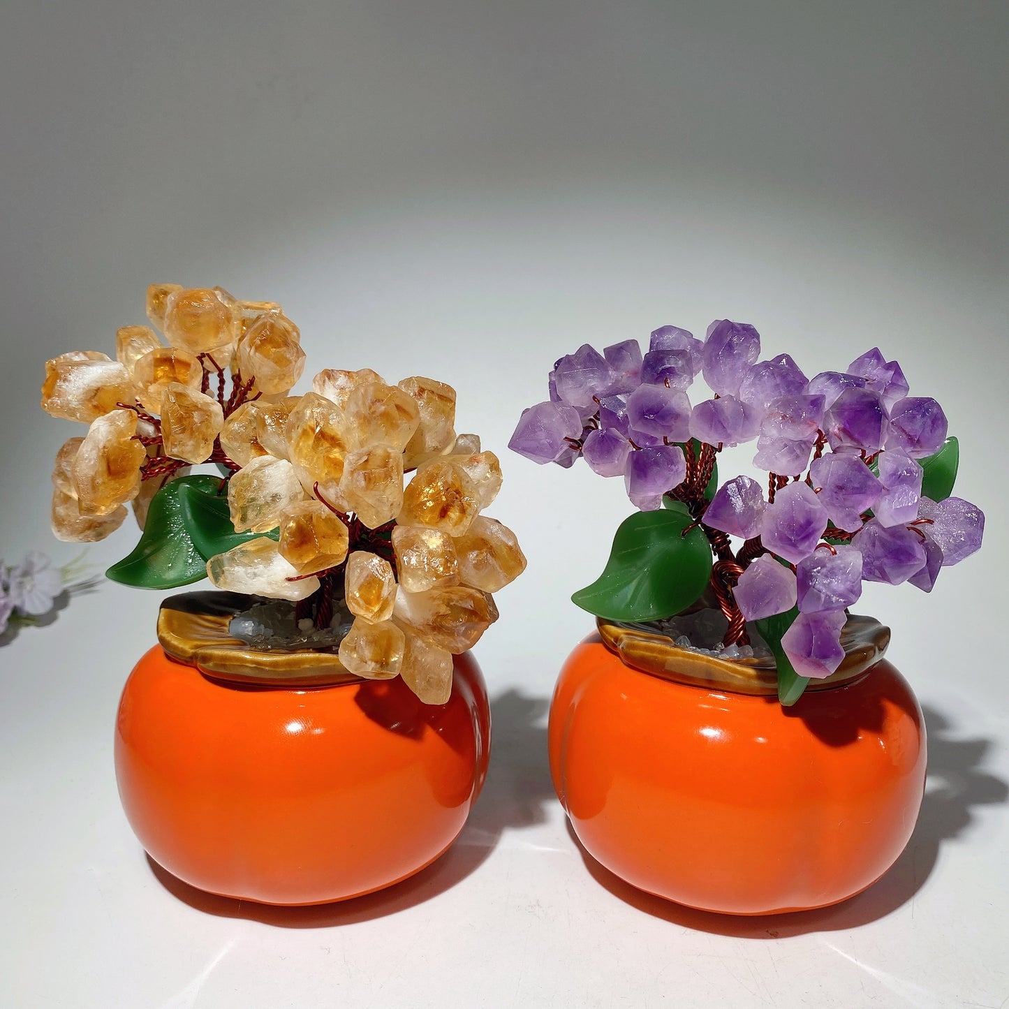 6.0" Amethyst Citrine Treasure Tree Free Form  Crystal Healing Bulk Wholesale