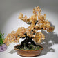 30-35cm Amethyst Citrine Treasure Tree Free Form Crystal Healing Bulk Wholesale