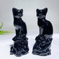 4.0" Natural Black Obsidian Skull Cat Carving for Halloween Wholesale