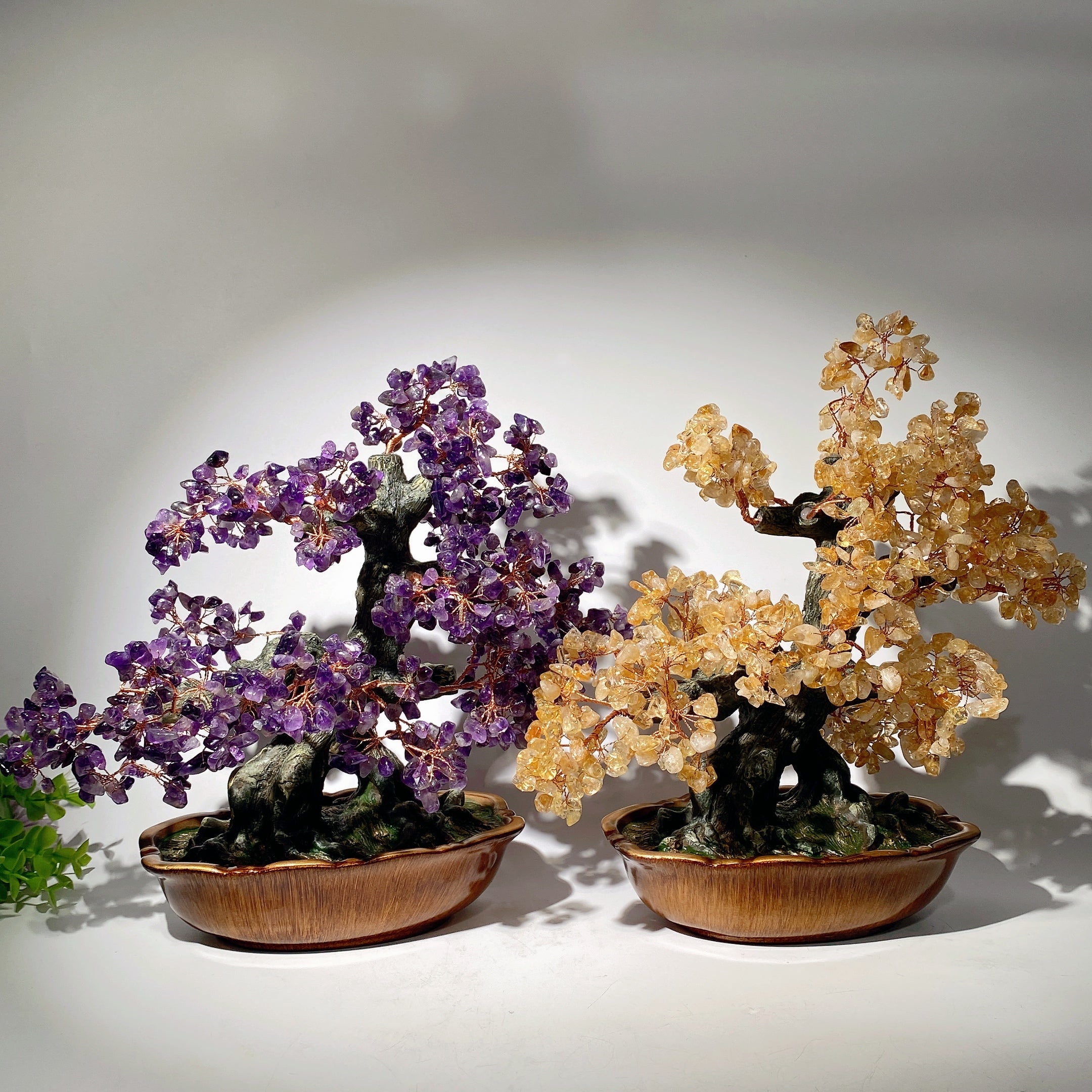 30-35cm Amethyst Citrine Treasure Tree Free Form Crystal Healing Bulk