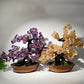 30-35cm Amethyst Citrine Treasure Tree Free Form Crystal Healing Bulk Wholesale