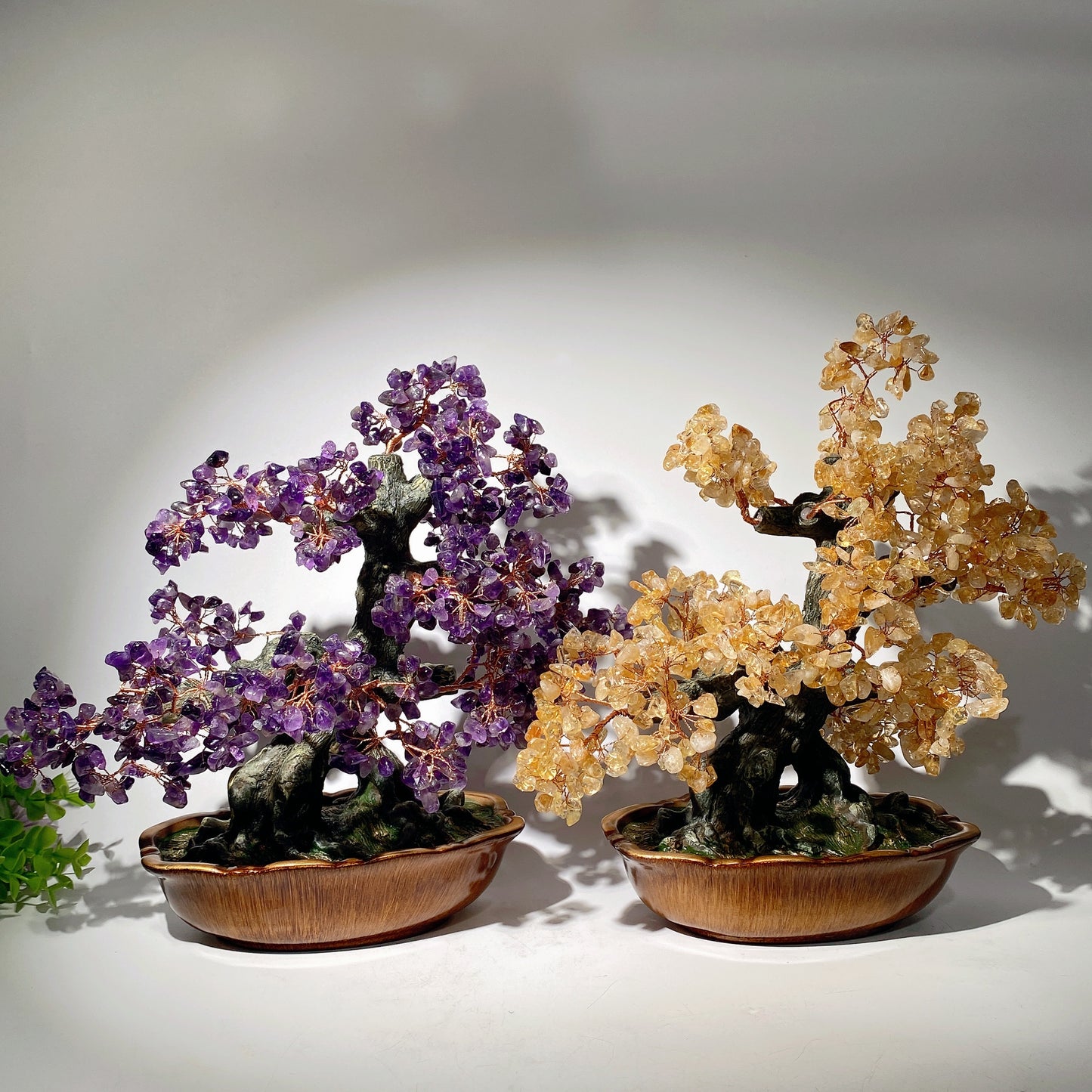 30-35cm Amethyst Citrine Treasure Tree Free Form Crystal Healing Bulk Wholesale