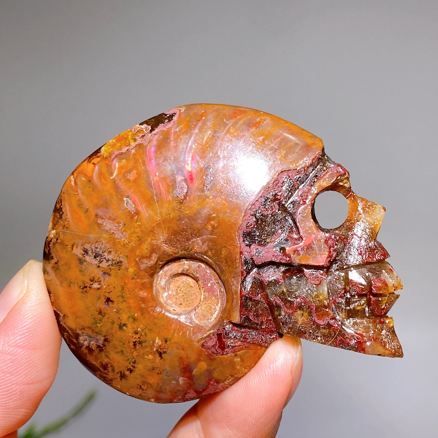 1.8"-2.5" Natural Ammonite Skull Carving Wholesale