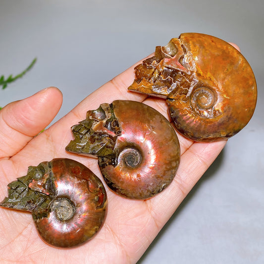 1.8"-2.5" Natural Ammonite Skull Carving Wholesale