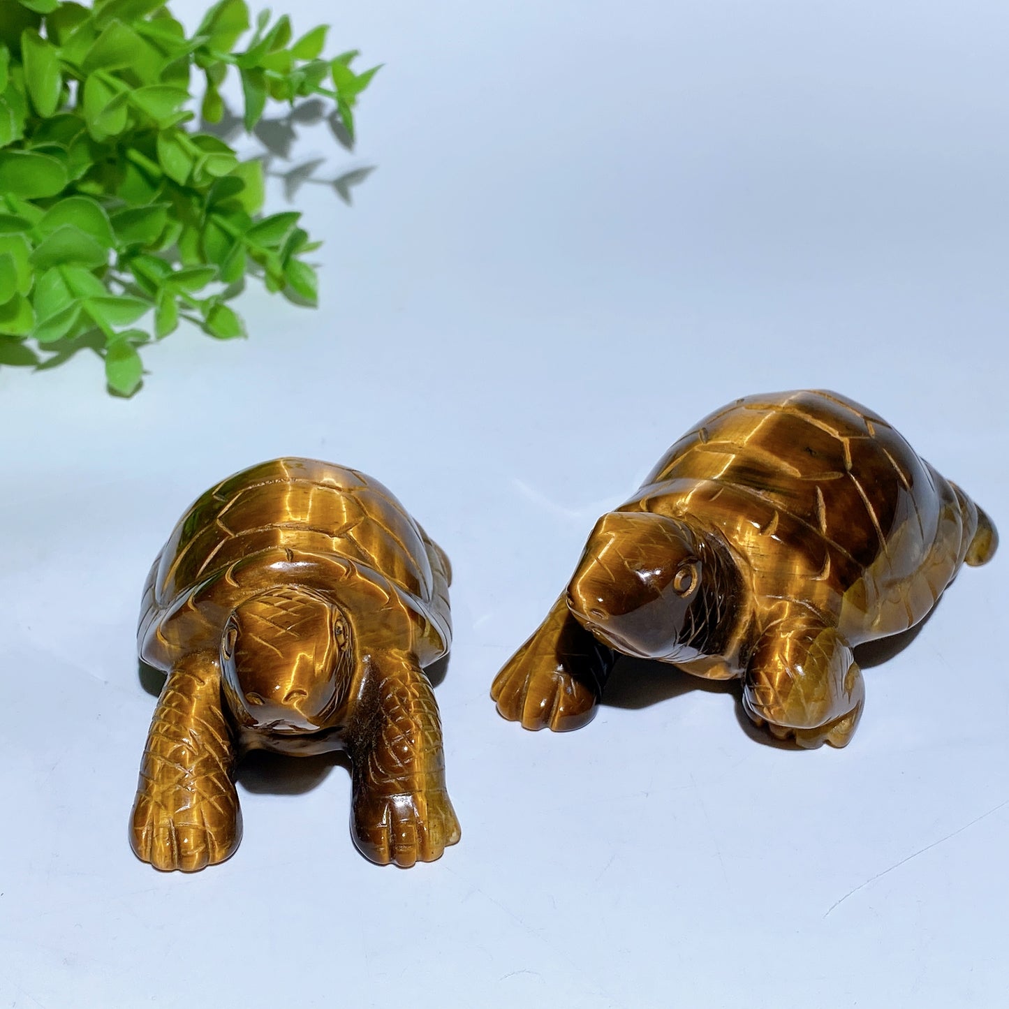 3.2"-3.9" Yellow Tiger's Eye Turtle Carvings Crystal Healing Bulk Wholesale