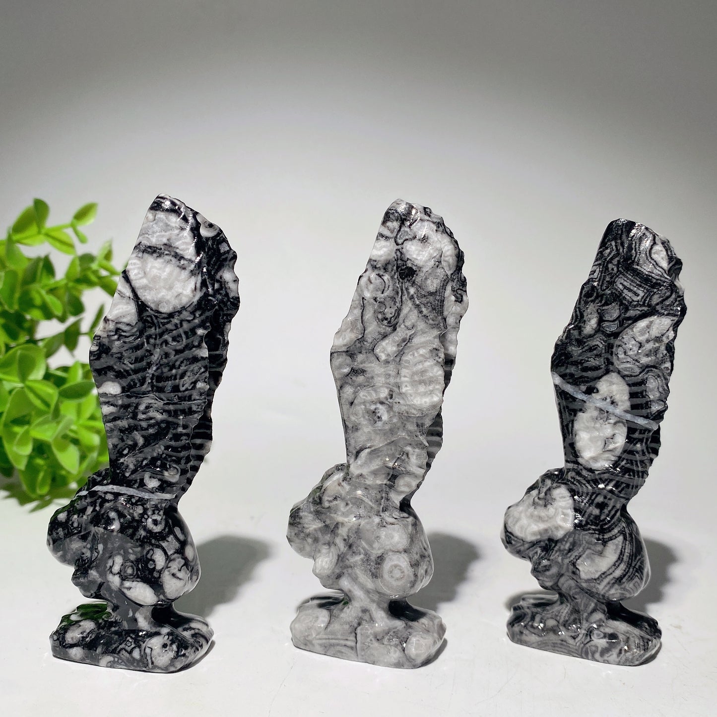 3.9" Shell Stone Fairy Carvings Crystal Healing Bulk Wholesale