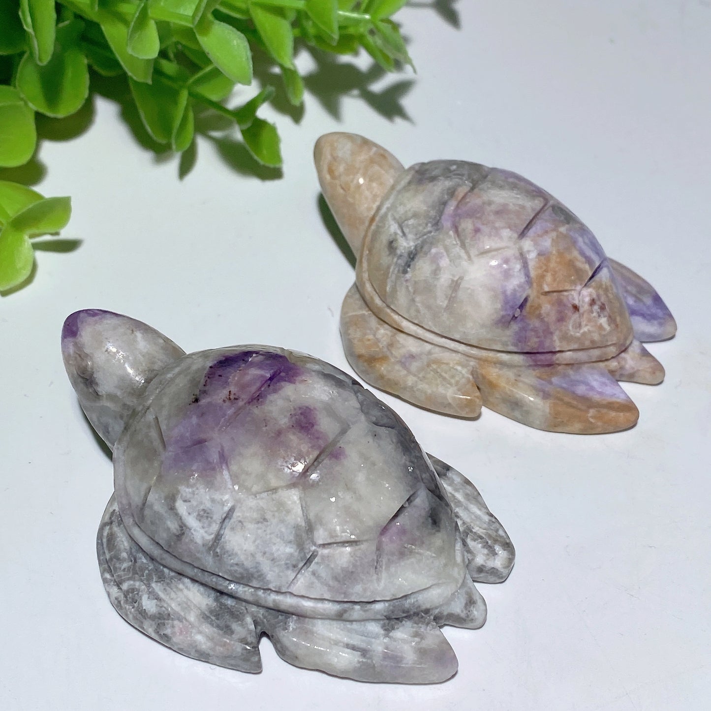 2.7" UV Reactive Hackmanite Turtle Carvings Crystal Healing Bulk Wholesale
