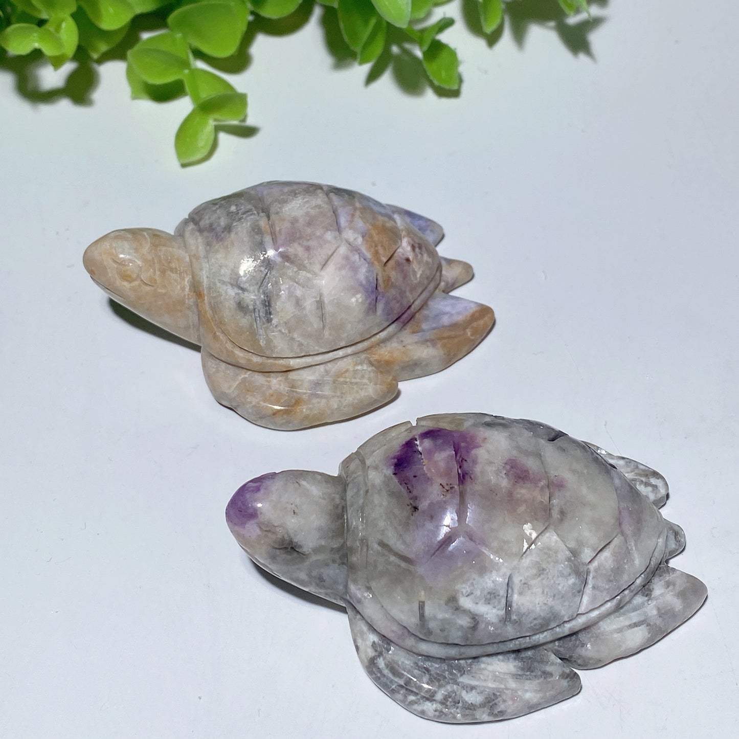 2.7" UV Reactive Hackmanite Turtle Carvings Crystal Healing Bulk Wholesale