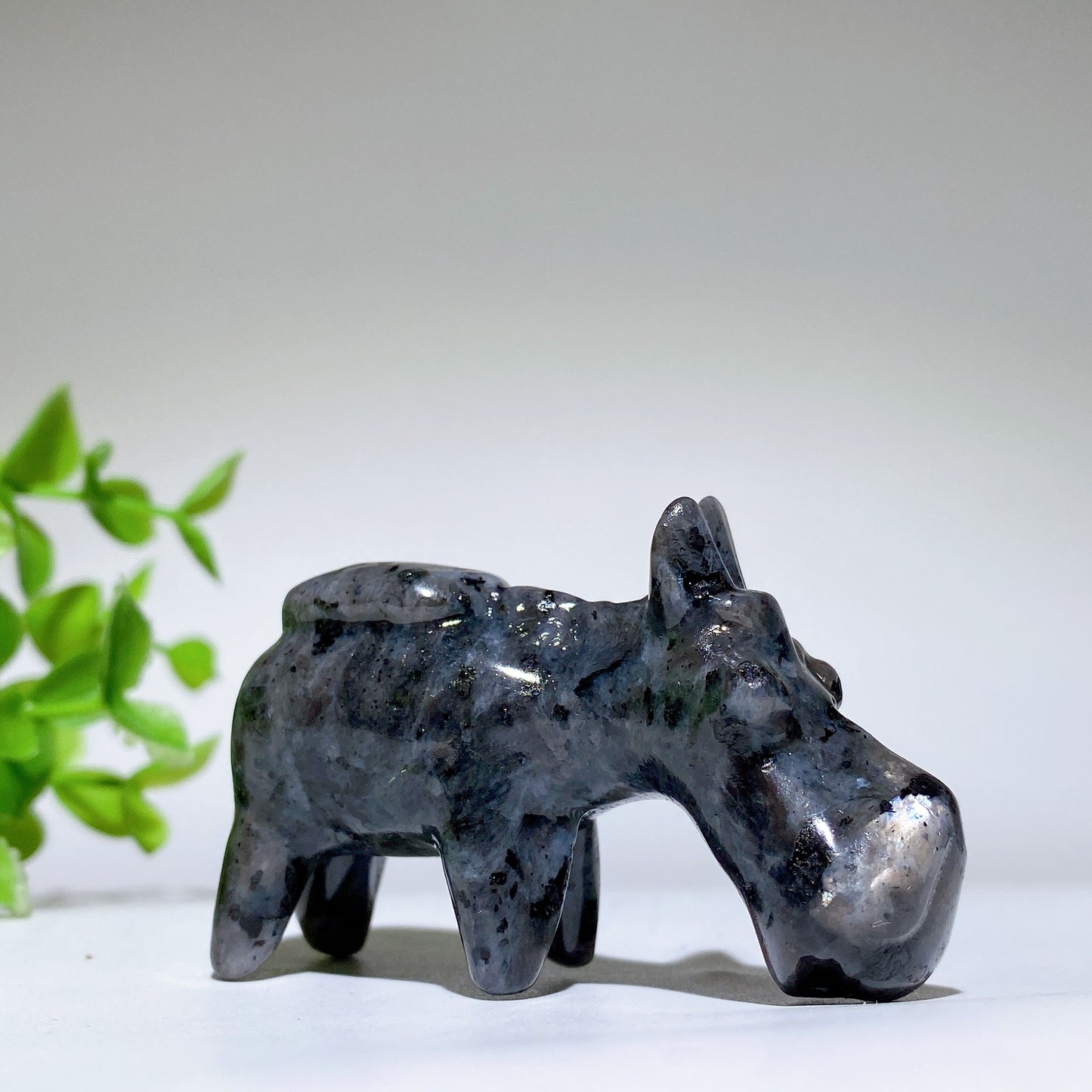 2.3" Mixed Crystal Donkey Carvings Crystal Healing Bulk Wholesale