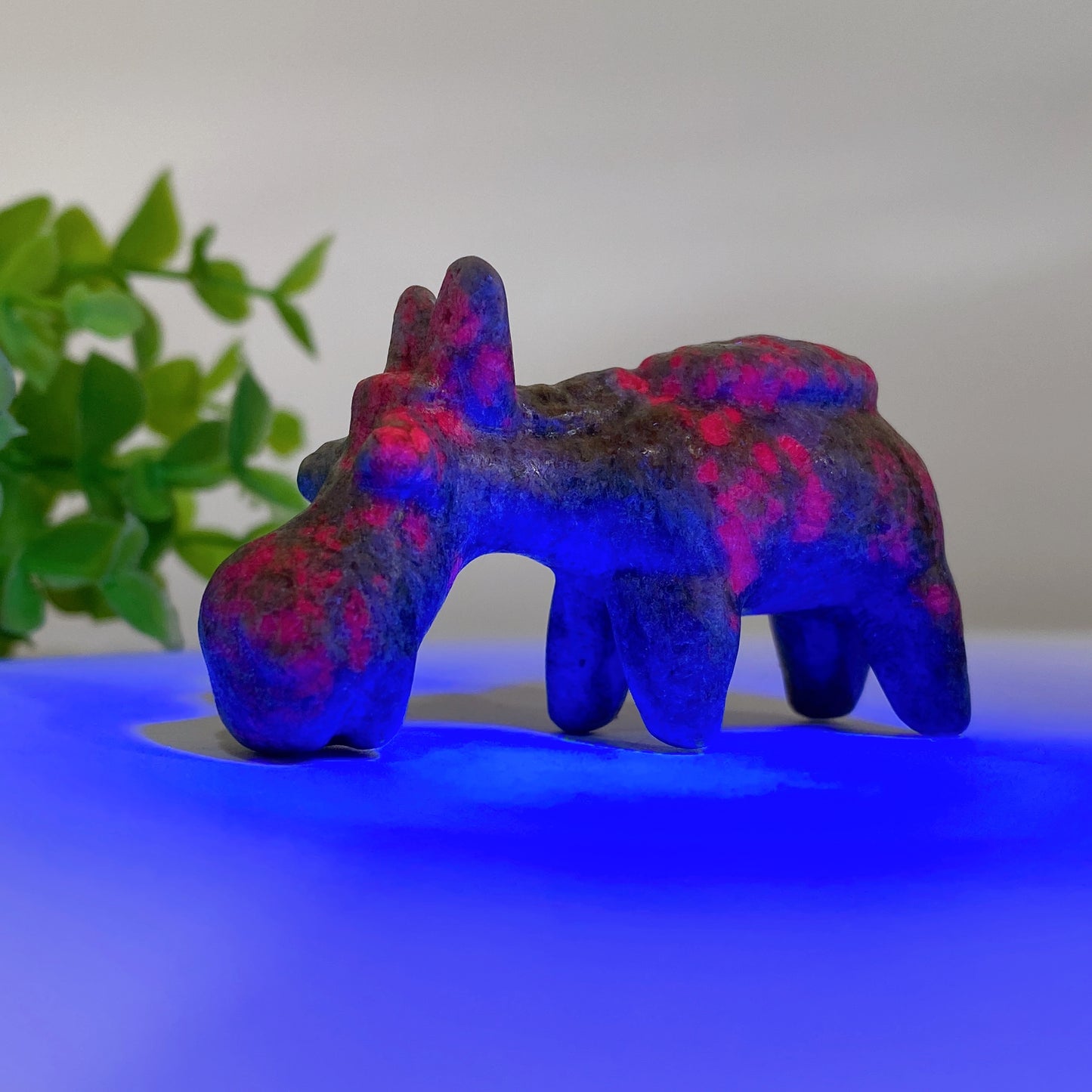 2.3" Mixed Crystal Donkey Carvings Crystal Healing Bulk Wholesale