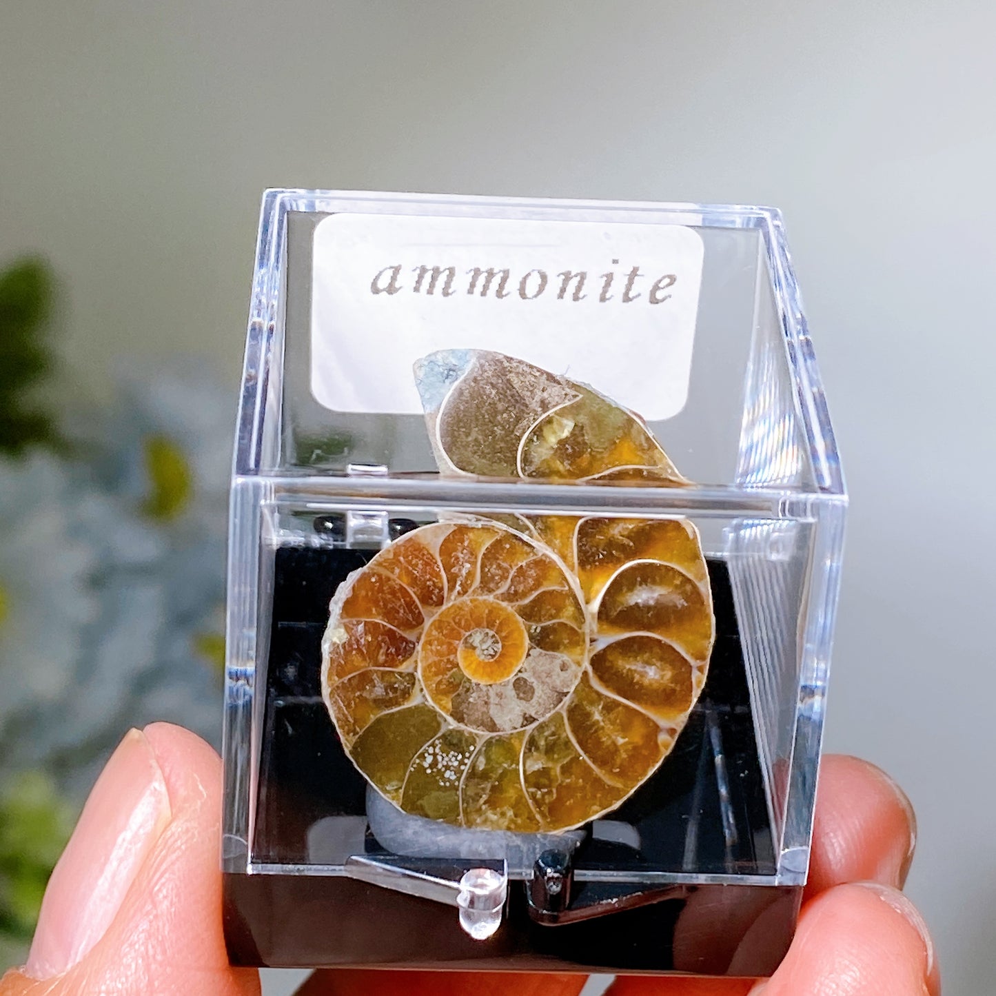 72pcs Boxes Specimen Collection Crystal Healing Bulk Wholesale