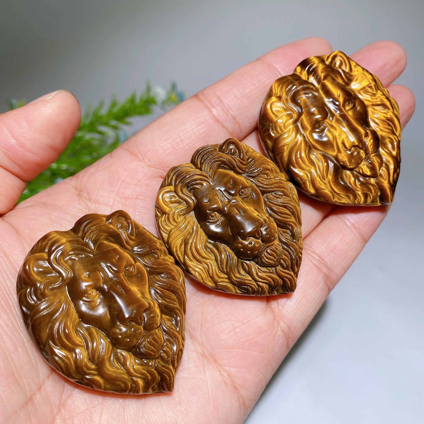 1.8" Yellow Tiger's Eye Lion Slab Carvings Crystal Healing Bulk Wholesale
