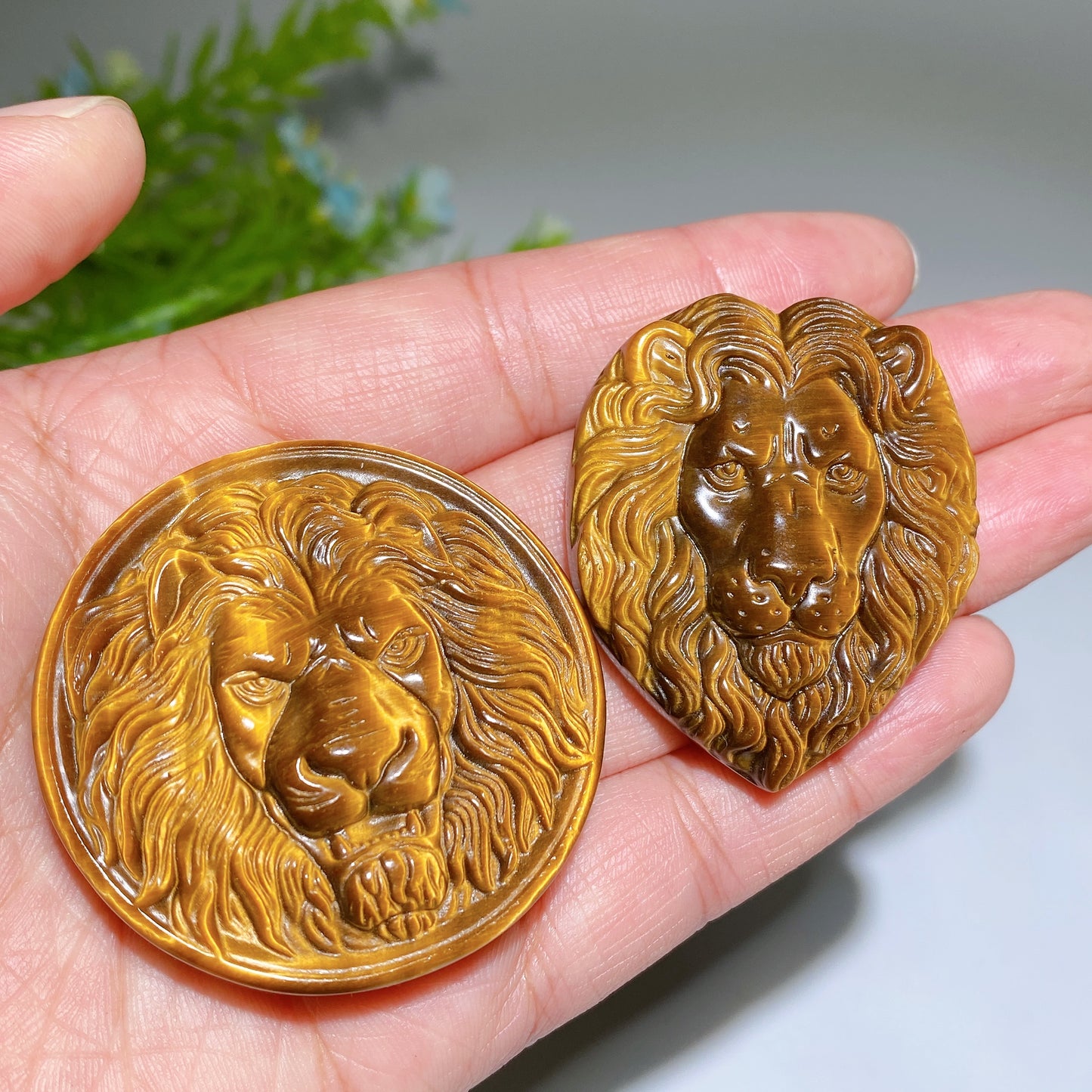 1.8" Yellow Tiger's Eye Lion Slab Carvings Crystal Healing Bulk Wholesale