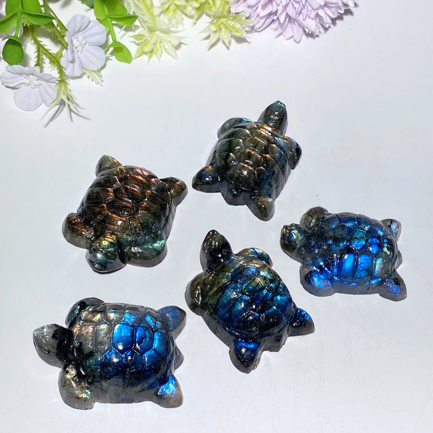 2.0" Labradorite Turtle Carvings Bulk Wholesale