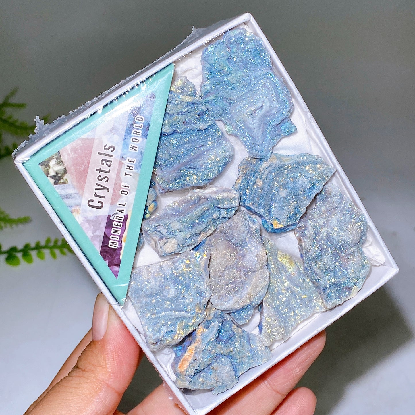 Aura Druzy Agate Specimen Box Wholesale