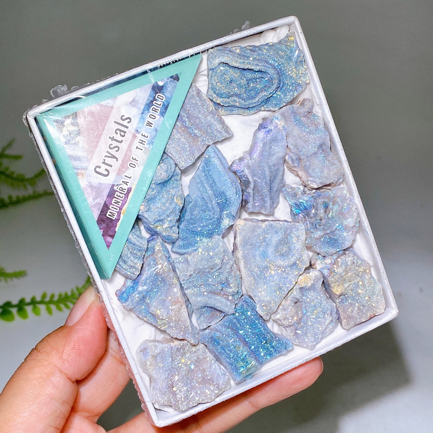Aura Druzy Agate Specimen Box Wholesale