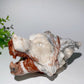 6.5" Chocolate Calcite Wolf Head Carvings Bulk Wholesale