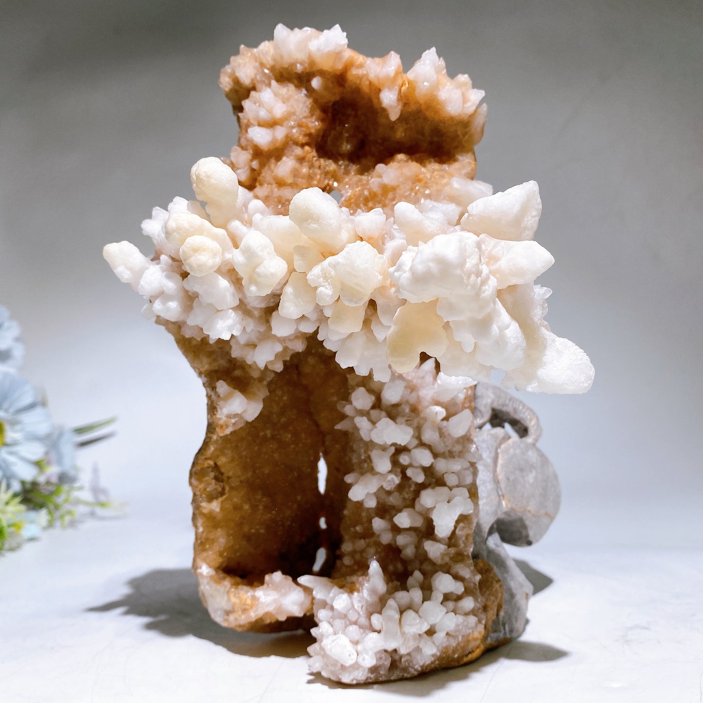 20cm Unique Calcite Cluster Phoenix Carving Crystal Healing Bulk Wholesale