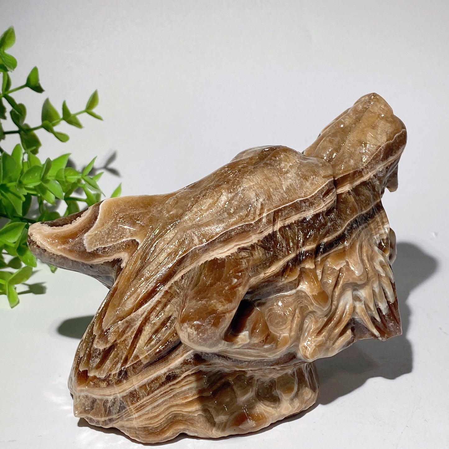 6.5" Chocolate Calcite Wolf Head Carvings Bulk Wholesale