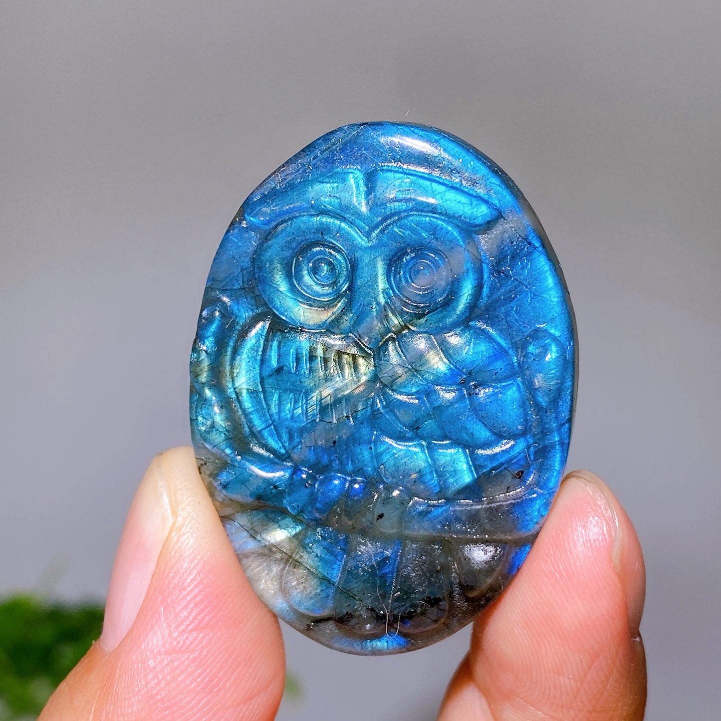 1.7" Natural Labradorite Owl Slab Carving Wholesale