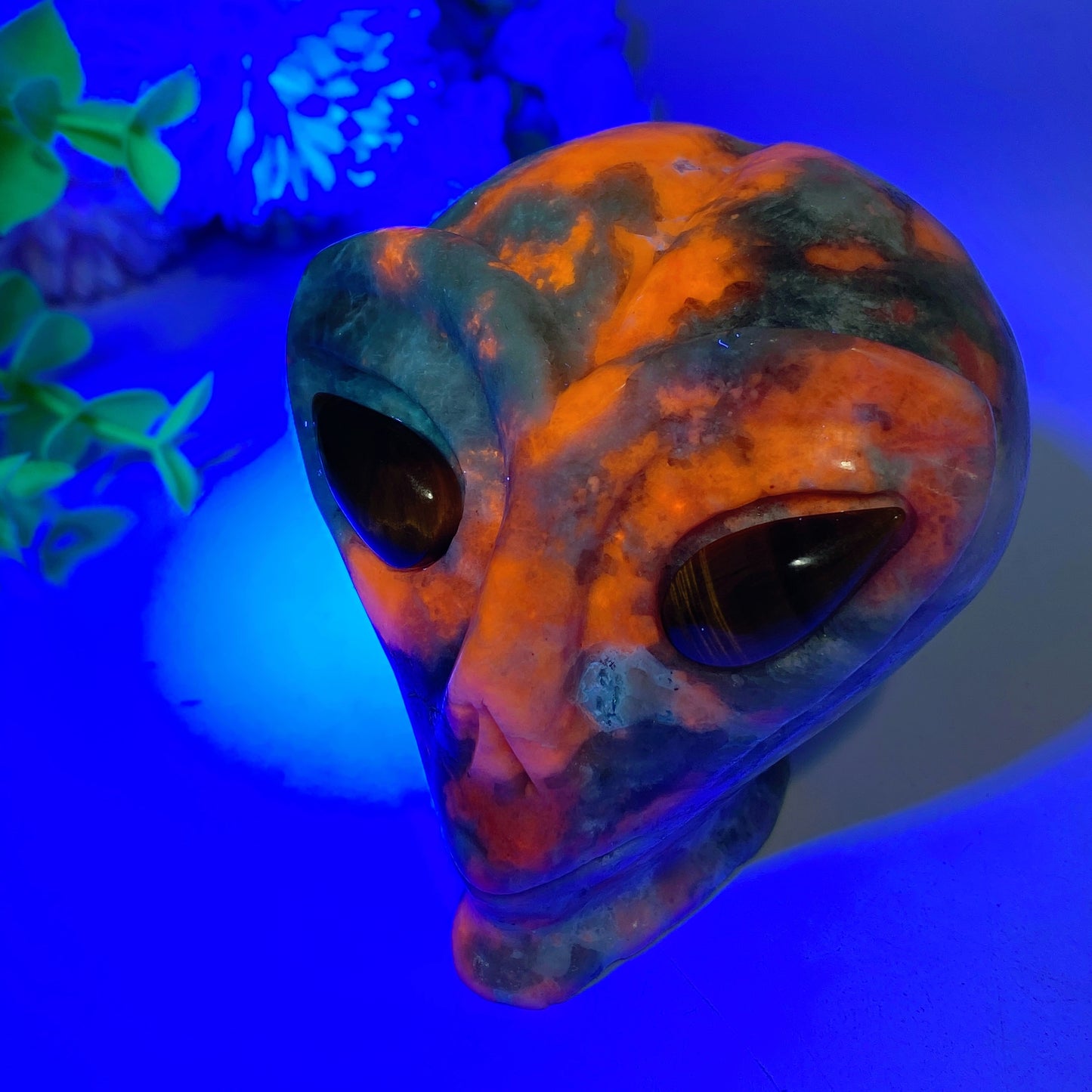 3.1" UV Reactive Hackmanite Alien's Head Carvings Crystal Healing Bulk Wholesale