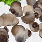 2-5cm Panda Agate Raw Stone Bag Bulk Wholesale