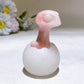 2.6" Crystal Baby Dinosaur White Jade Shell Carving Crystal Healing Bulk Wholesale