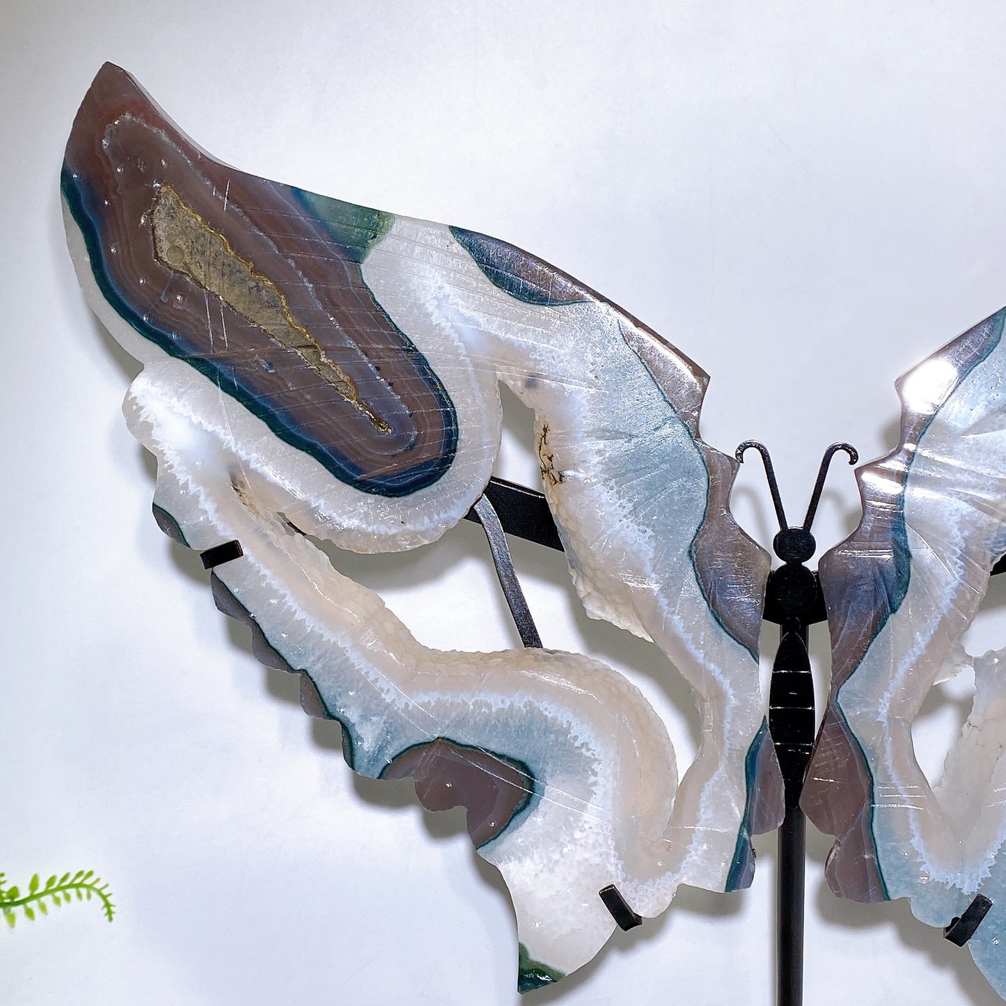 Large Unqiue Natural Druzy Agate Butterfly Wings with Stand Wholesale