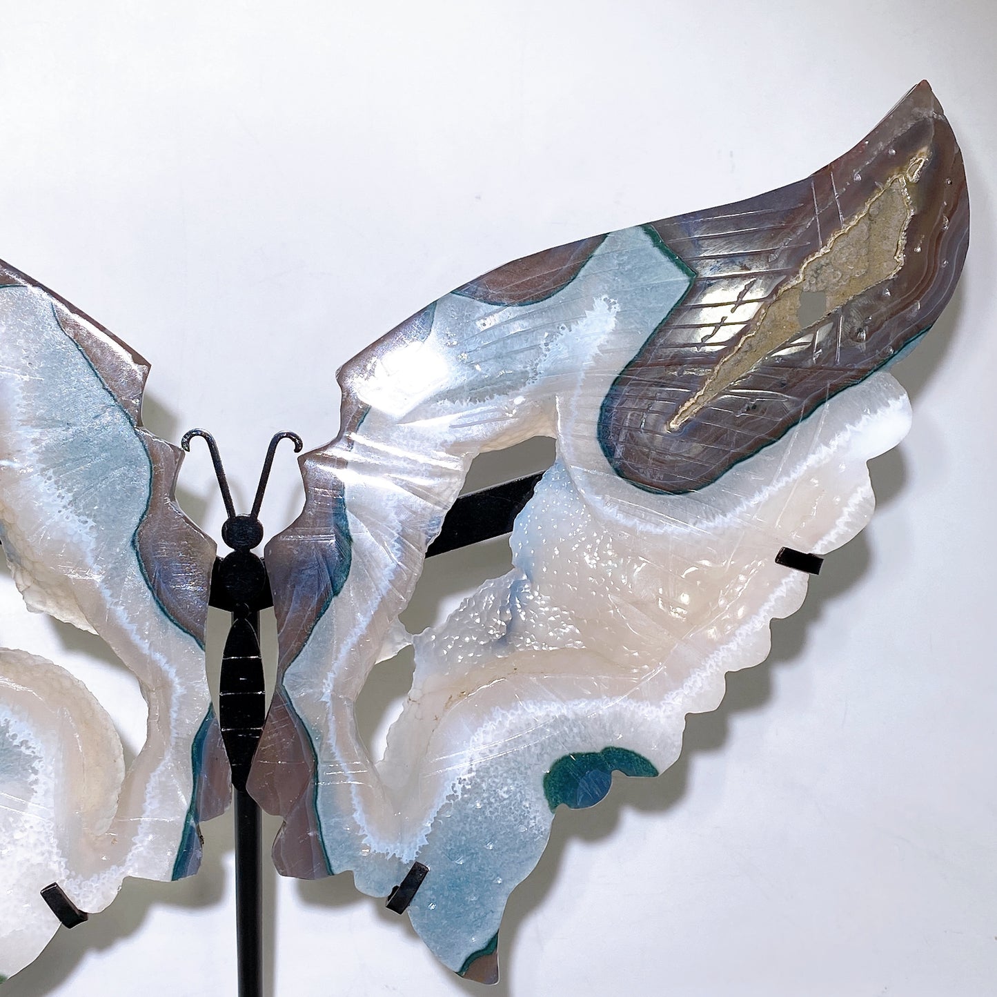 Large Unqiue Natural Druzy Agate Butterfly Wings with Stand Wholesale