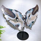 Large Unqiue Natural Druzy Agate Butterfly Wings with Stand Wholesale