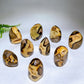 2.2"-4.0" Natural Serptarium Egg Wholesale