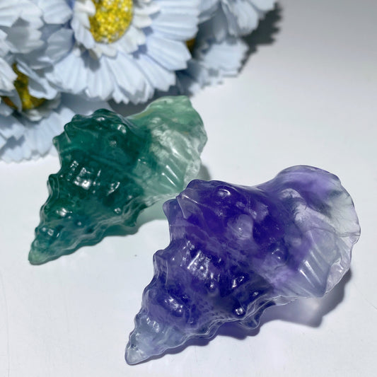 2.6" Fluorite Conch Carvings Bulk Wholesale