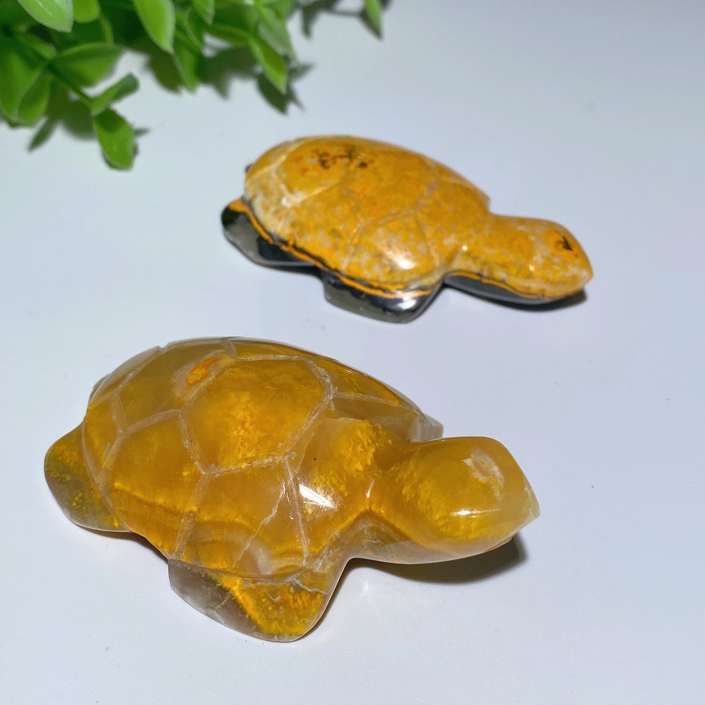 2.0"-2.5" Bumblebee Jasper Turtle Carvings Crystal Healing Bulk Wholesale