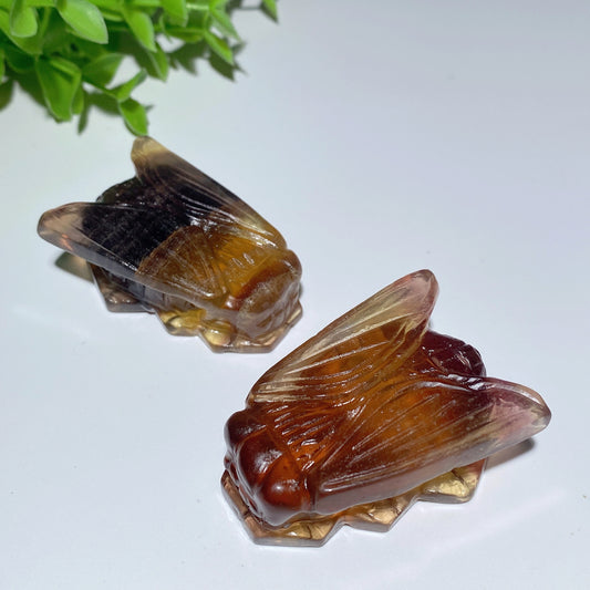 2.0" Yellow Fluorite Cicada Carvings Bulk Wholesale