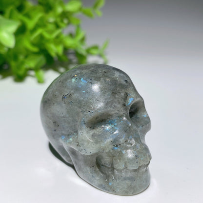 2.0" Mixed Crystal Skull Carvings Bulk Wholesale